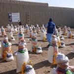 Widows Food Support Program  Rodat and kot